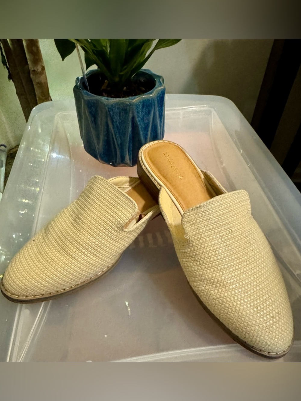 Indigo Rd. Women's Cream Woven Slip-On Mules Size 7.5